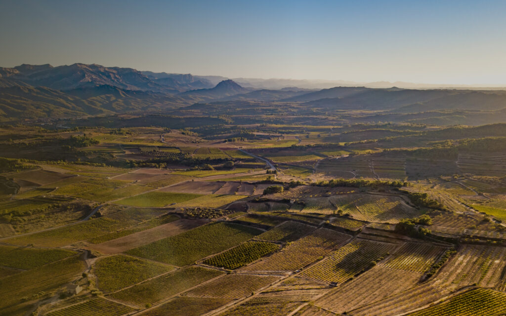 DO Terra Alta Catalan Wines 🍇
