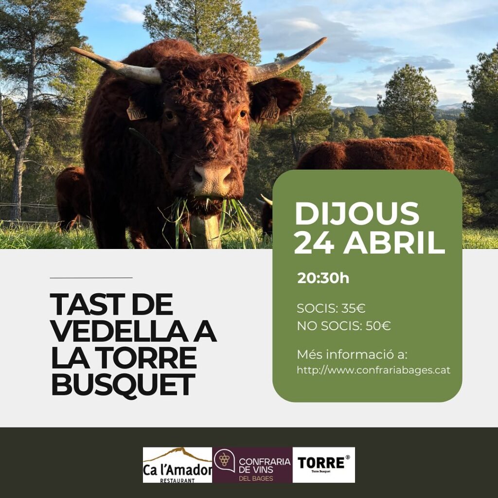 Tast vedella do pla de bages