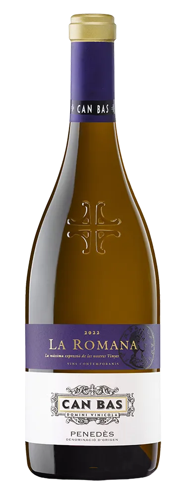 CanBas-LaRomana